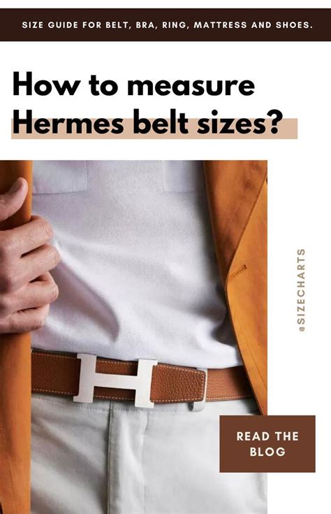 hermes weights and sizes|hermes size chart.